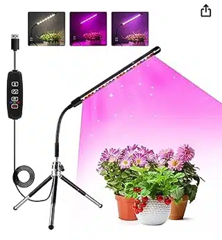 lampada luce artificiale per orchidee