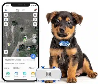 localizzatore gps per cani e gatti