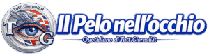 Quotidiano Il Pelo nell'occhio logo del quotidiano il pelo nell'occhio