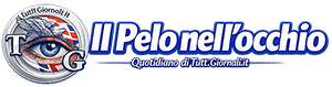 logo quotidiano il pelo nell'occhio